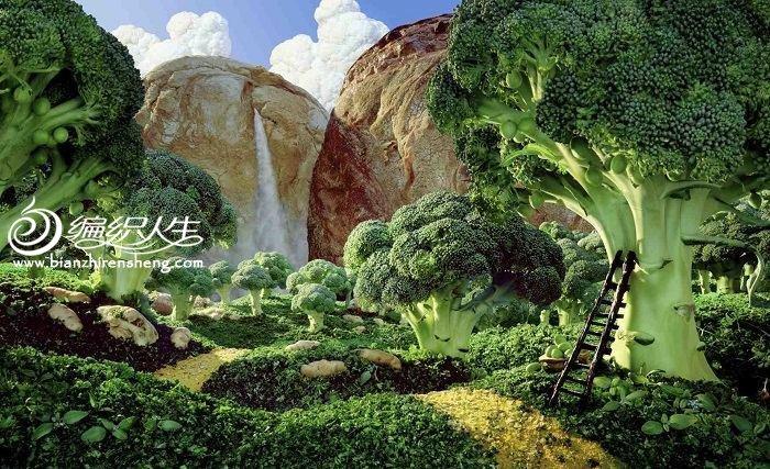 世界上的酷炫食品藝術(shù)