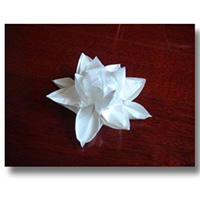 立体花朵手工折纸DIY