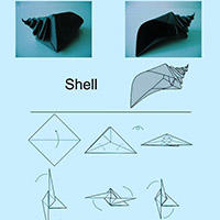 小海螺手工折纸教程