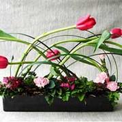 半球形插花藝術(shù)