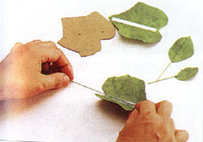 折纸大全之葡萄折法图解教程