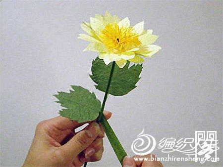 手工折纸大全之幸福菊折纸艺术图解