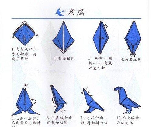 手工折纸孔雀和老鹰的过程图解