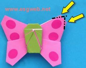 手工制作DIY漂亮的蝴蝶折法教程