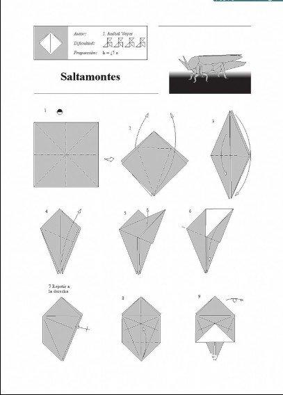 蝗虫的折纸方法图解
