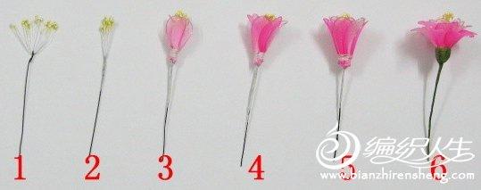 关于制作丝网海棠花的详细图解