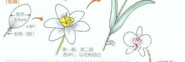 　丝网花之水仙花和蝴蝶兰的制作图解