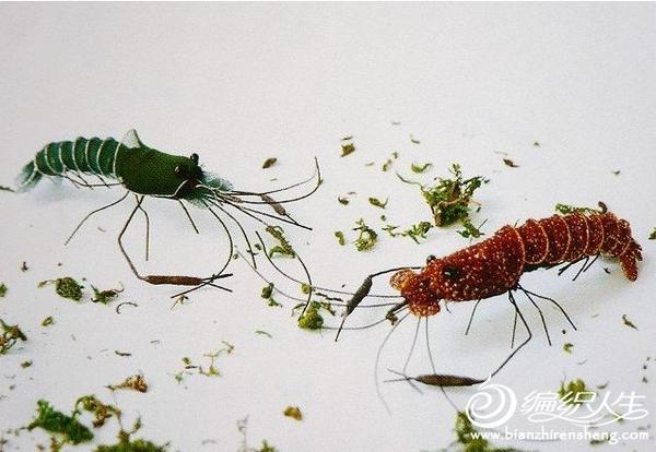 丝网花动物可爱小虾的DIY过程