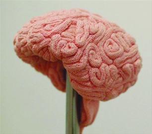 创意欣赏：毛线做的“大脑帽子”(图)