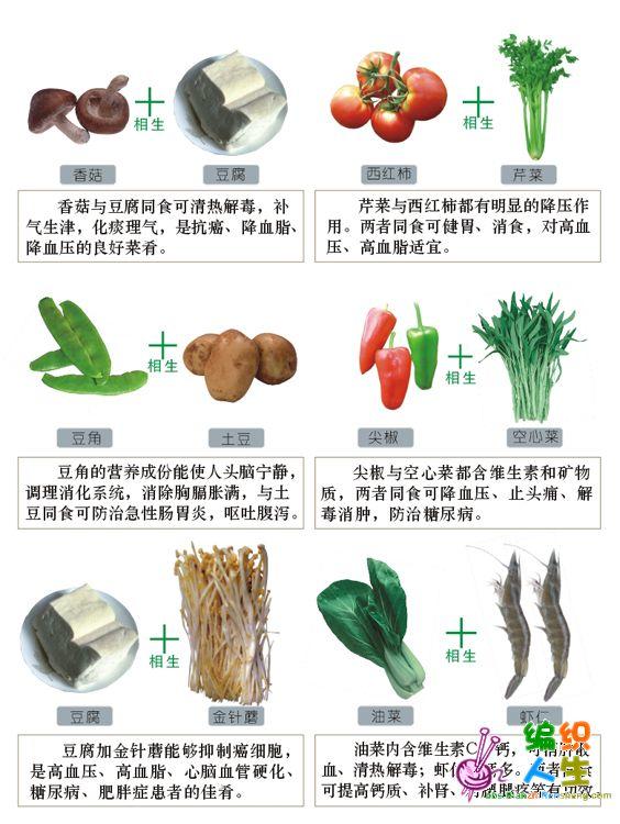 食物相生圖表