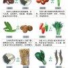 食物相生圖表