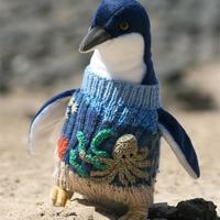 为了生存，企鹅也穿上了毛衣！这是为什么呢。。。