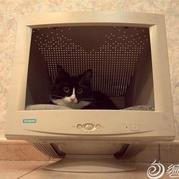 古董臺(tái)式電腦屏幕改造