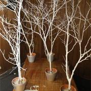 變身居家藝術(shù)范兒裝飾的樹枝創(chuàng)意diy 親子手工幼兒園手工