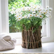 小清新原生態(tài)花盆輕松做 樹枝DIY