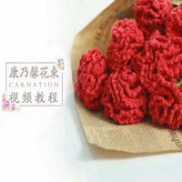 零基础毛线钩花视频之康乃馨花束的编织教程（2-1）花朵部分的编织 