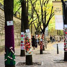 传递美传递温暖的毛线涂鸦走上首尔街头