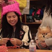 美华裔女子参与发明“粉色猫咪帽” 计划