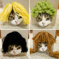 网红猫尝试不同的毛线假发帽 萌态受到千人关注
