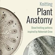 微观世界的编织灵感 源自植物解剖学的美丽棒针蕾丝披肩