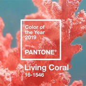 你那里冷吗？来看温暖活泼而柔美的2019年度色“活珊瑚橘”