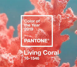 你那里冷吗？来看温暖活泼而柔美的2019年度色“活珊瑚橘”