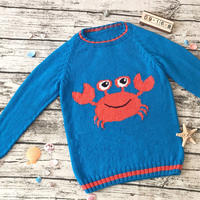 小雪编织海洋风儿童棒针螃蟹海马图案插肩套头毛衣