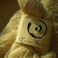 美丽诺（Merino)羊毛介绍及其手纺线赏析