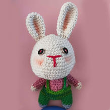 造型特别可爱钩的钩针小白兔