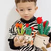 郁金香花朵盆栽 DIY鉤針玩偶家居飾品編織視頻教程