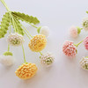 生動秀美鉤針蒲公英花編織視頻教程